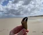 img_3164.jpeg